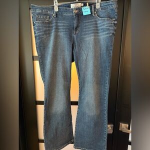 Torrid Blue Denim Jeans